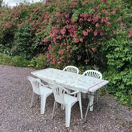 Ecrin De Fleurs Et Verdure *